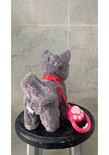 Müzikli Yürüyen Miyavlayan Yalayan Kuyruk ve Başını Sallayan Ses Kaydını Tekrarlayan Pili Peluş Kedi modelleri