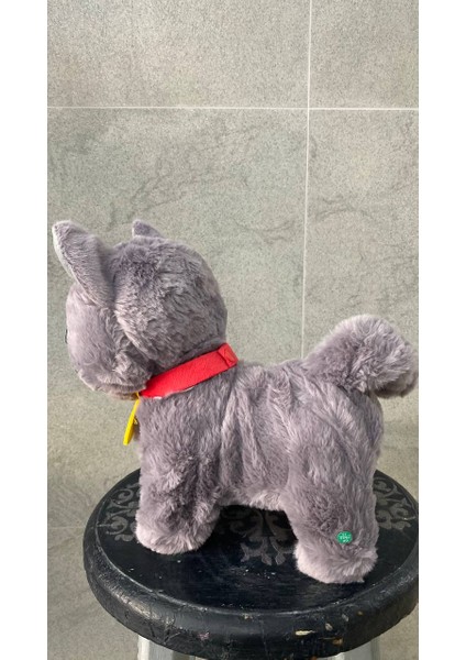 Müzikli Yürüyen Miyavlayan Yalayan Kuyruk ve Başını Sallayan Ses Kaydını Tekrarlayan Pili Peluş Kedi fırsatları