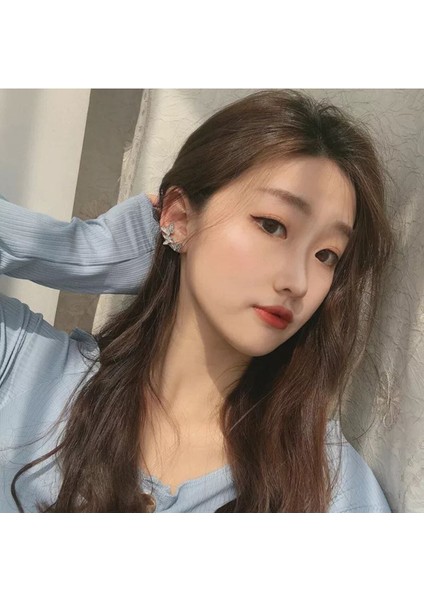 Romantik Kelebek Figürlü Küpe ile Şıklığınızı Tamamlayın indirimleri