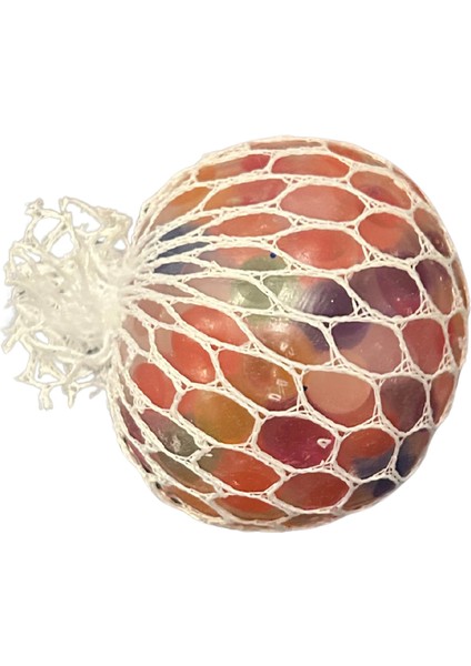 Su Maymuncuk Topu Beyin Aktivite' Duyusal Algısal Motor Dikkat fiyatları