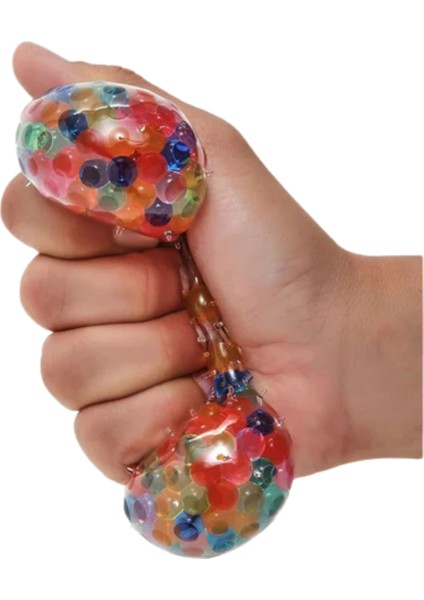 Su Maymuncuk Topu Beyin Aktivite' Duyusal Algısal Motor Dikkat fırsatları