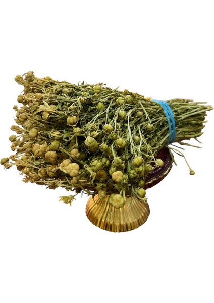 Üzerlik Otu Demet Nazarlık fiyatları