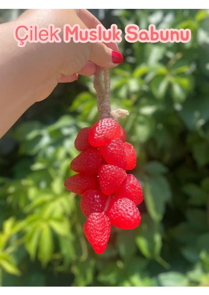 Elyapımı Doğal Musluk Sabunu/ Handmade Natural Tap Soap