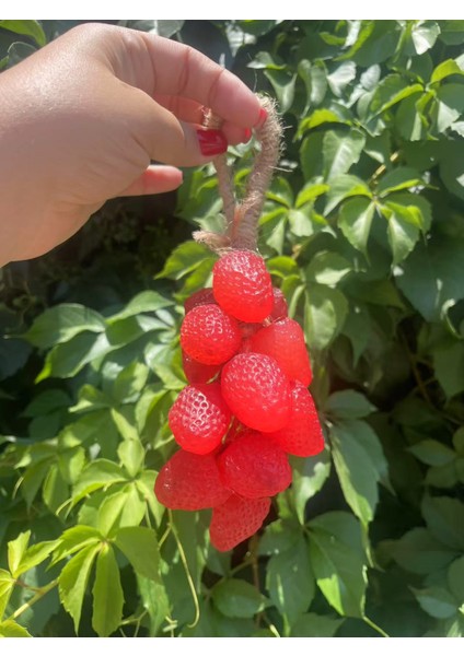 Elyapımı Doğal Musluk Sabunu/ Handmade Natural Tap Soap fiyatları