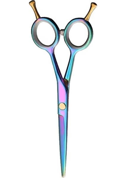 Rainbow Düz Uçlu Çift Vidalı Saç Kesim Makası 5.5 Inç XLQ577 fiyatları