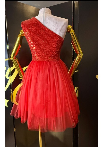 Anne Kız Payet Tül Tütü Abiye Doğum Günü Elbise fiyatları