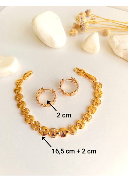 Küpe Halka ve Bileklik Zirkon Taş Altın Kaplama 316 L Çelik 2'li Set + Hediye Paket fırsatları