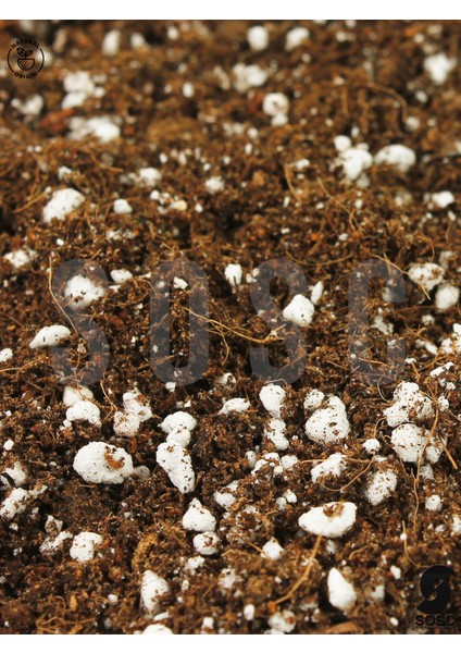 Substrat Lıght Mıx Ithal Sphangum Torfu Cocopeat Perlit Özel Karışım Saksı Harcı Çiçek ve Bitki Toprağı 1 Lt