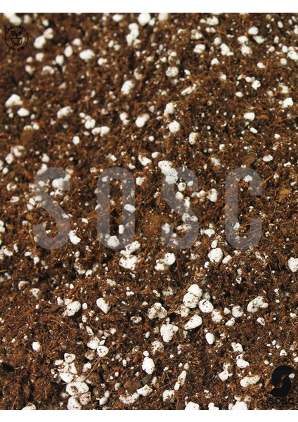 Substrat Lıght Mıx Ithal Sphangum Torfu Cocopeat Perlit Özel Karışım Saksı Harcı Çiçek ve Bitki Toprağı 1 Lt fiyatları