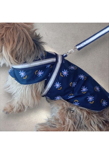 Köpek Yağmurluğu fiyatları