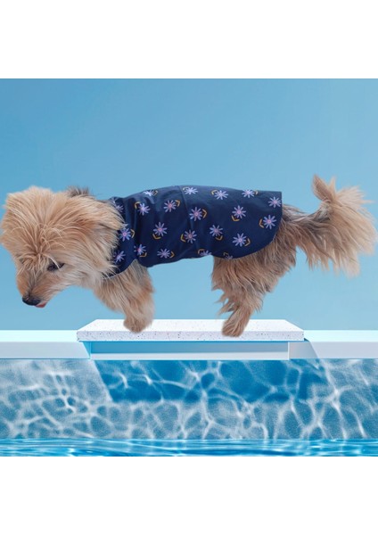 Köpek Yağmurluğu fırsatları