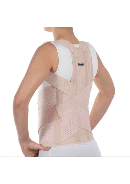 Dorselomber Korsesi Yüksek Kalite Bedensiz modelleri