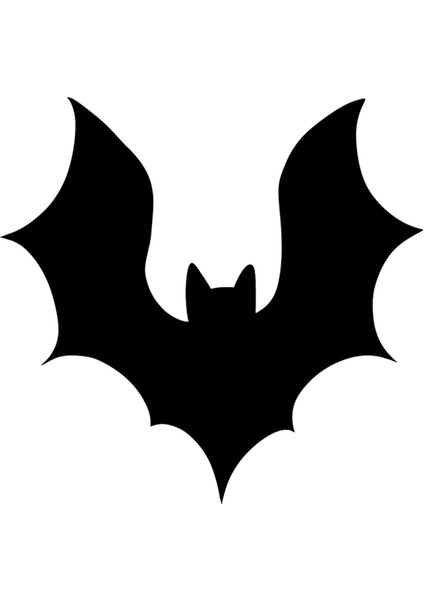 Kask Motosiklet Atv Araç Otomobil Sticker Dış Mekan Etiket 10X10CM K1011