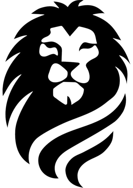 Kask Motosiklet Atv Araç Otomobil Sticker Dış Mekan Etiket 8X10CM K1160