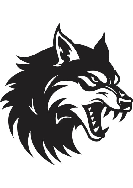 Kask Motosiklet Atv Araç Otomobil Sticker Dış Mekan Etiket 10X10CM K1051