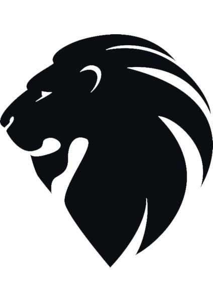 Kask Motosiklet Atv Araç Otomobil Sticker Dış Mekan Etiket 8X9CM K1166