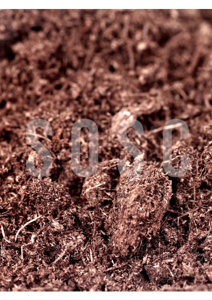 Ithal Sphagnum Bitki Yetiştirme Torfu - Böcek Sinek Yapmaz Premium Kalite 1 Lt modelleri