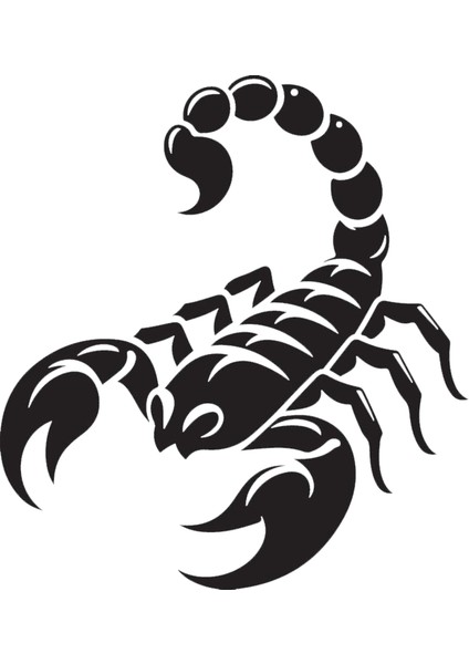 Kask Motosiklet Atv Araç Otomobil Sticker Dış Mekan Etiket 5x5,5 K1043