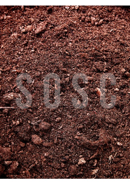 Ithal Sphagnum Bitki Yetiştirme Torfu - Böcek Sinek Yapmaz Premium Kalite 5 Lt fiyatları