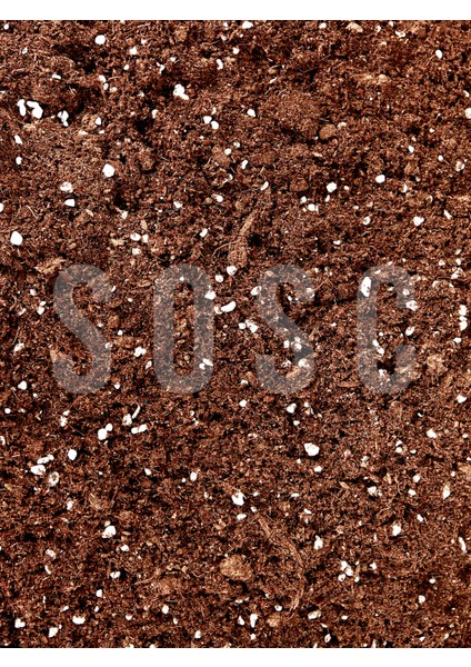Substrat Mix Ithal Torf Cocopeat Perlit Özel Karışım Saksı Harcı Çiçek ve Bitki Toprağı 3 Lt fiyatları