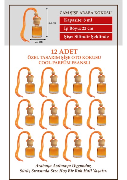 Cool Erkek Parfümü Esanslı 12 Li Cam Şişede Oto Kokusu ve Oto Aksesuarı