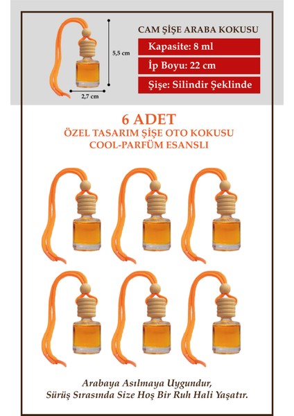 Cool Erkek Parfümü Esanslı 6 Lı Cam Şişede Oto Kokusu ve Oto Aksesuarı