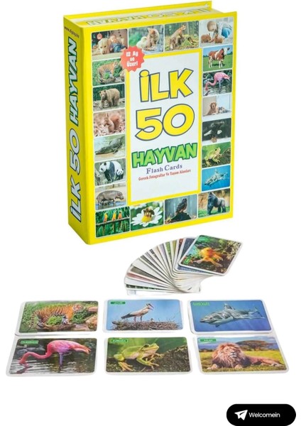 Oyuncak Minik Bebeğimin Ilk 50 Sözcük Kartları ve Ilk 50 Hayvanlar Kartları Flash Kart 2'li Set fırsatları