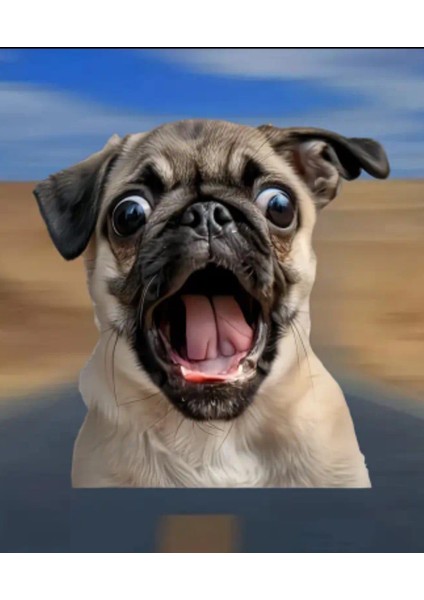 Pug Araba,laptop,için Dayanıklı,eğlenceli Sticker modelleri