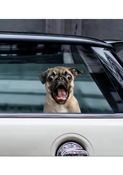 Pug Araba,laptop,için Dayanıklı,eğlenceli Sticker fırsatları