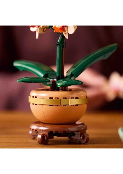 LEGO Botanicals Mini Orkide 10343