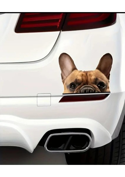 Fransız Bulldog Araba ,motorsiklet, Dizüstü Bilgisayar, Buzdolabı Sticker,etiket,pencere Etiketi modelleri
