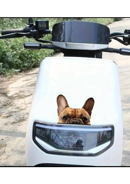 Fransız Bulldog Araba ,motorsiklet, Dizüstü Bilgisayar, Buzdolabı Sticker,etiket,pencere Etiketi fırsatları