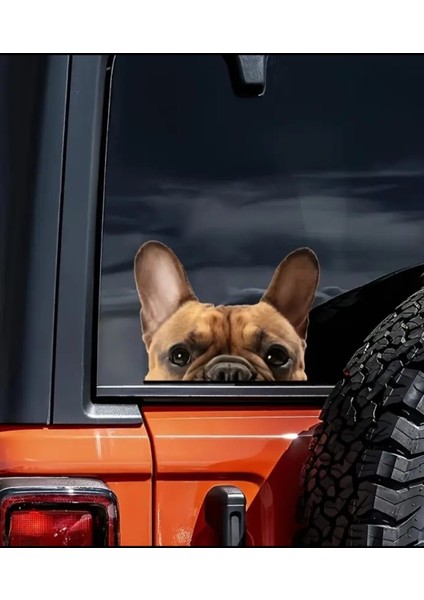 Fransız Bulldog Araba ,motorsiklet, Dizüstü Bilgisayar, Buzdolabı Sticker,etiket,pencere Etiketi indirimleri