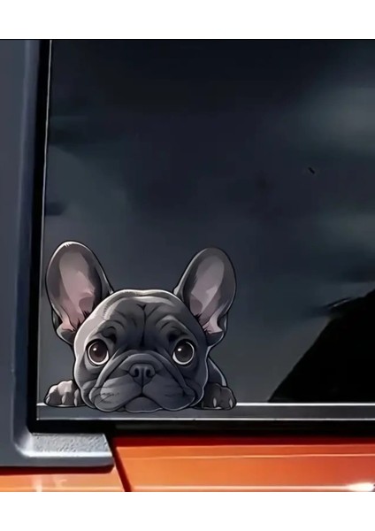 Pug Araba , Laptop Eğlenceli Yapışkan Sticker fiyatları