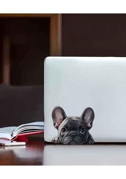 Pug Araba , Laptop Eğlenceli Yapışkan Sticker modelleri