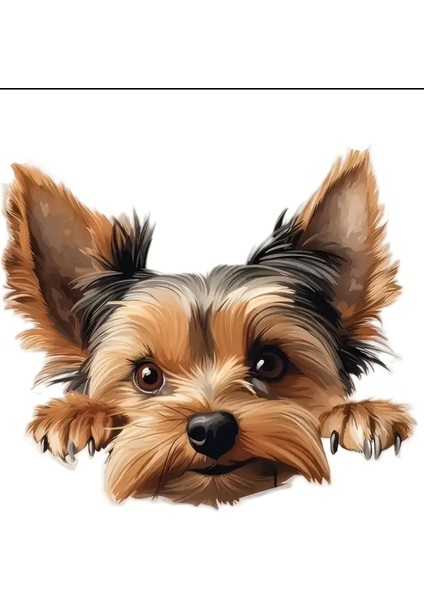 Yorkshire Terrier Eğlenceli, Yapışkanlı Araba, Laptop Sticker fiyatları