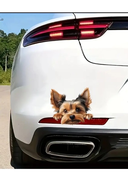 Yorkshire Terrier Eğlenceli, Yapışkanlı Araba, Laptop Sticker modelleri