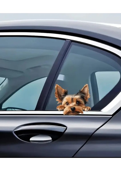 Yorkshire Terrier Eğlenceli, Yapışkanlı Araba, Laptop Sticker fırsatları