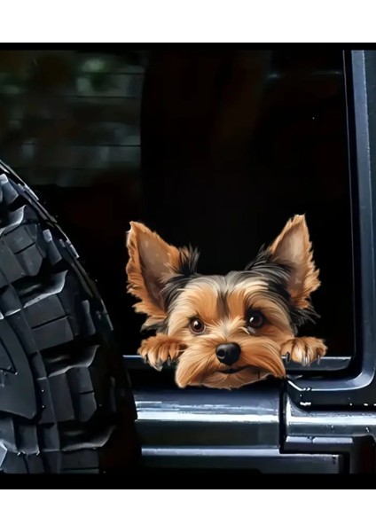 Yorkshire Terrier Eğlenceli, Yapışkanlı Araba, Laptop Sticker