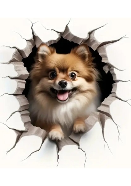 Pomeranian Sevimli, Yapışkanlı, Araba, Laptop Sticker fiyatları