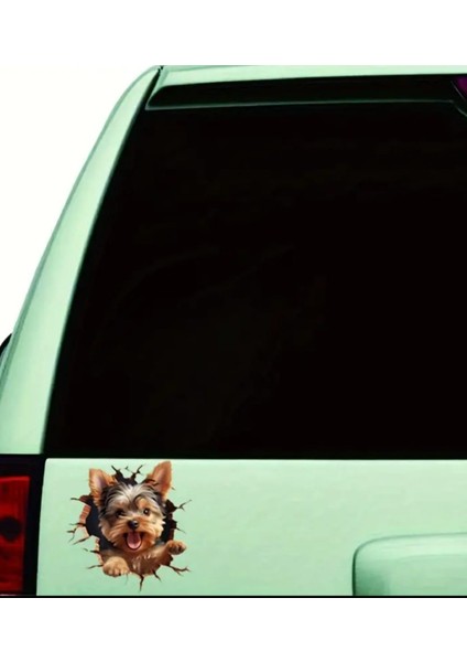 Yorkshire Terrier Eğlenceli Yapışkanlı Araba, Laptop Sticker fırsatları