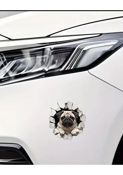 Pug Sevimli,eğlenceli Araba,laptop Sticker fırsatları