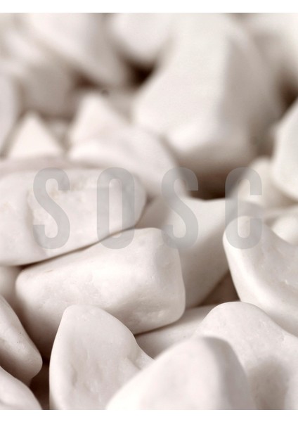 Beyaz Çakıl Taşı Dolomit Taşı Bahçe Süsü Akvaryum Taşı Dere Çakıl Taşı 1-2 cm 1 kg