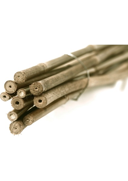 120 cm Doğal Bambu Bitki Destek Çubuğu 10 Adet 5-10 mm