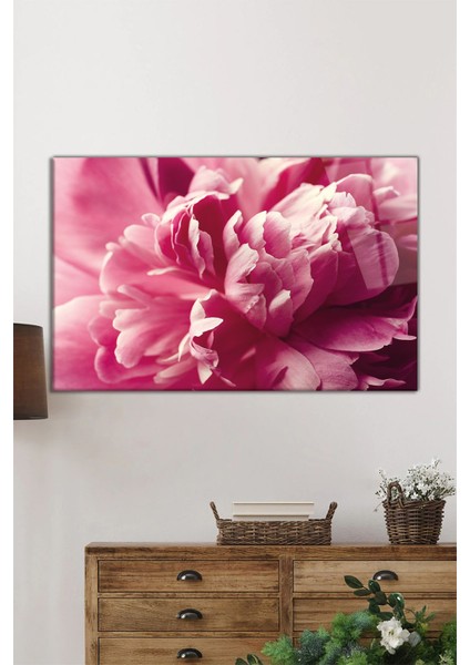 Pembe Şakayık Çiçeği Yatay Cam Tablo, Doğa, Ev ve Ofis Duvar Dekoru, Lüks Hediyelik fiyatları
