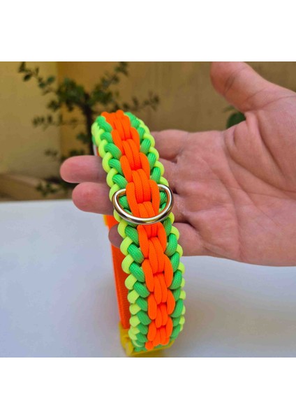 Tasma Köpek tasması Köpek boyun tasması Büyük ırk köpek tasması