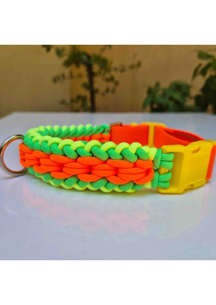 Tasma Köpek tasması Köpek boyun tasması Büyük ırk köpek tasması fiyatları