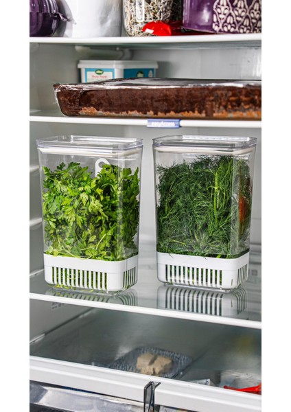 Çok Amaçlı Vakumlu Sızdırmaz Yeşillik Saklama Kabı Nane Maydonoz Dere Otu Roka Tere Marul fiyatları