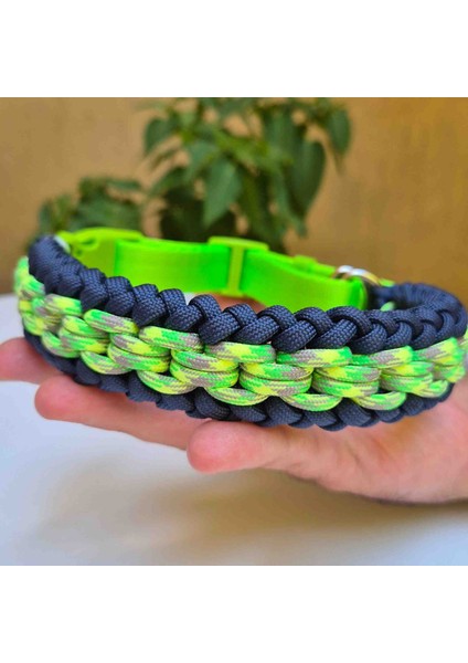 Tasma boyun tasması fiyatları