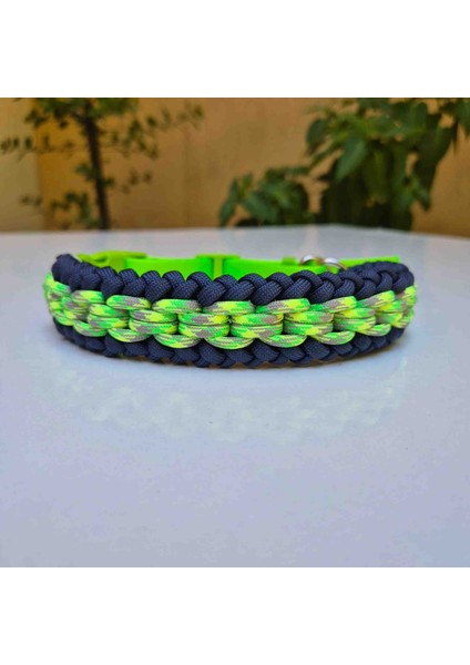 Tasma boyun tasması fırsatları